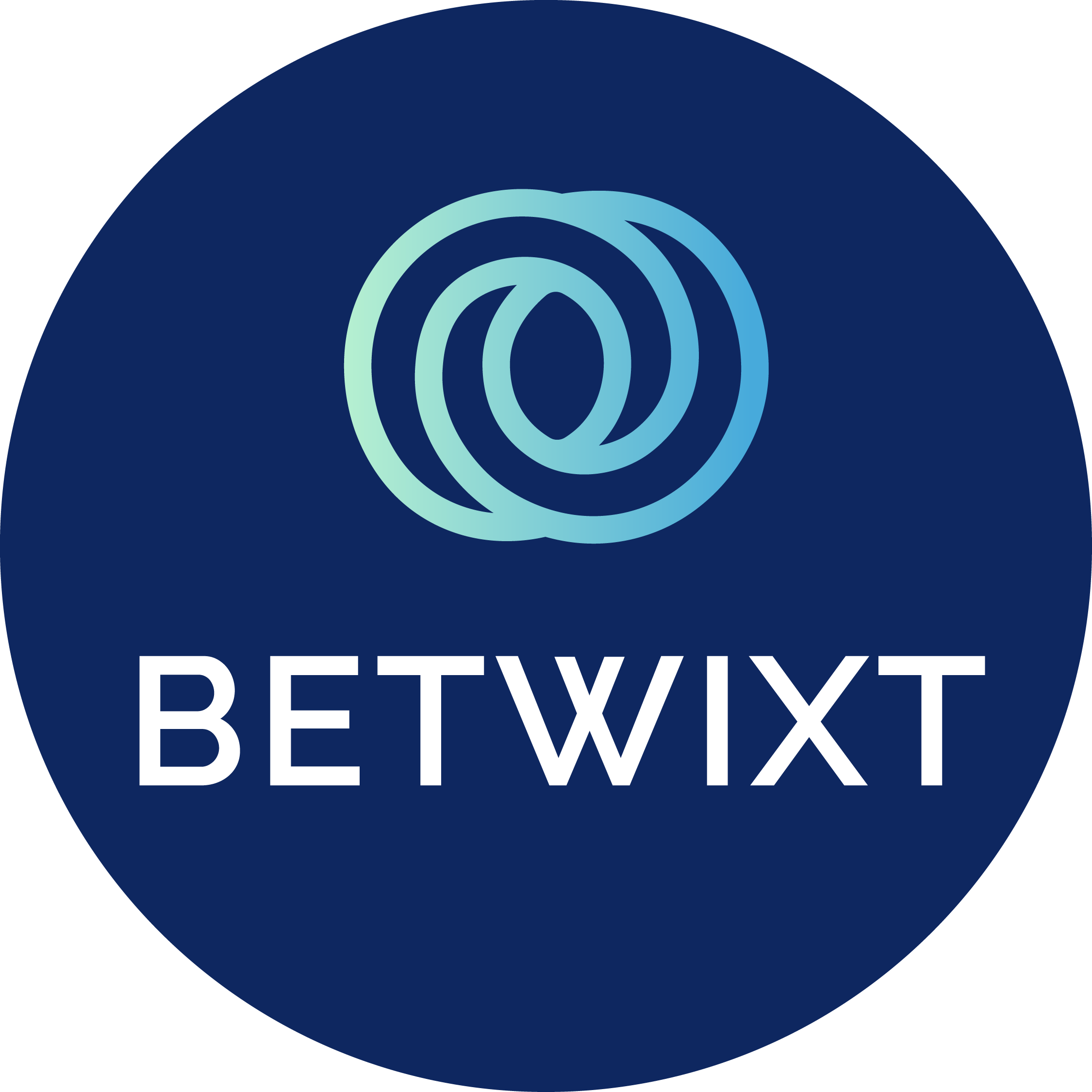 Home - betwixtgroup